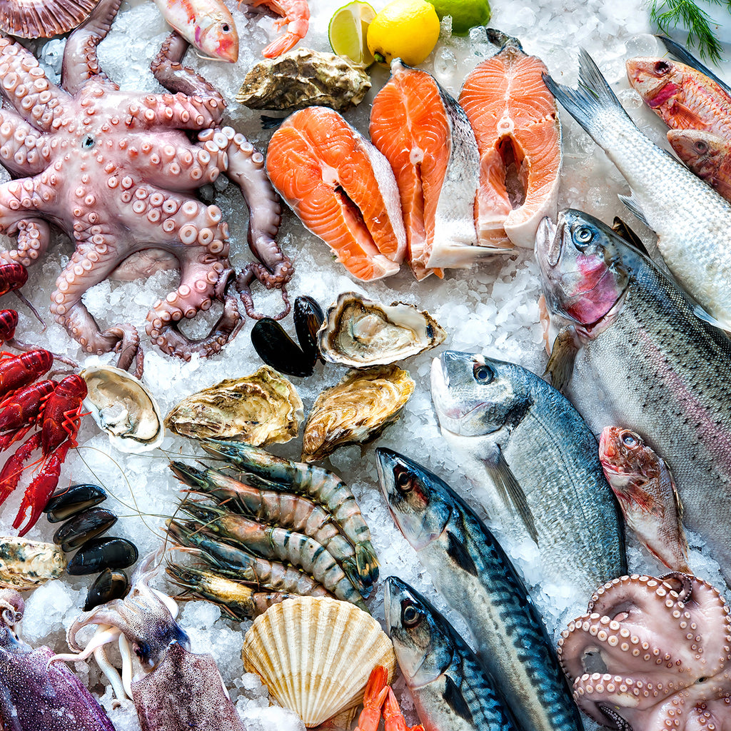 Riding the Waves: A Year in Review of North America's Seafood Market