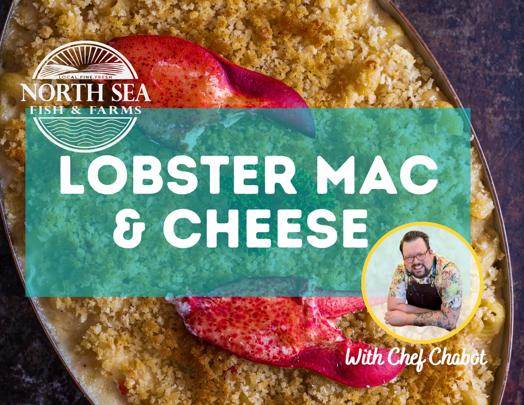Lobster Mac & Cheese - Recipe with Chef Chabot