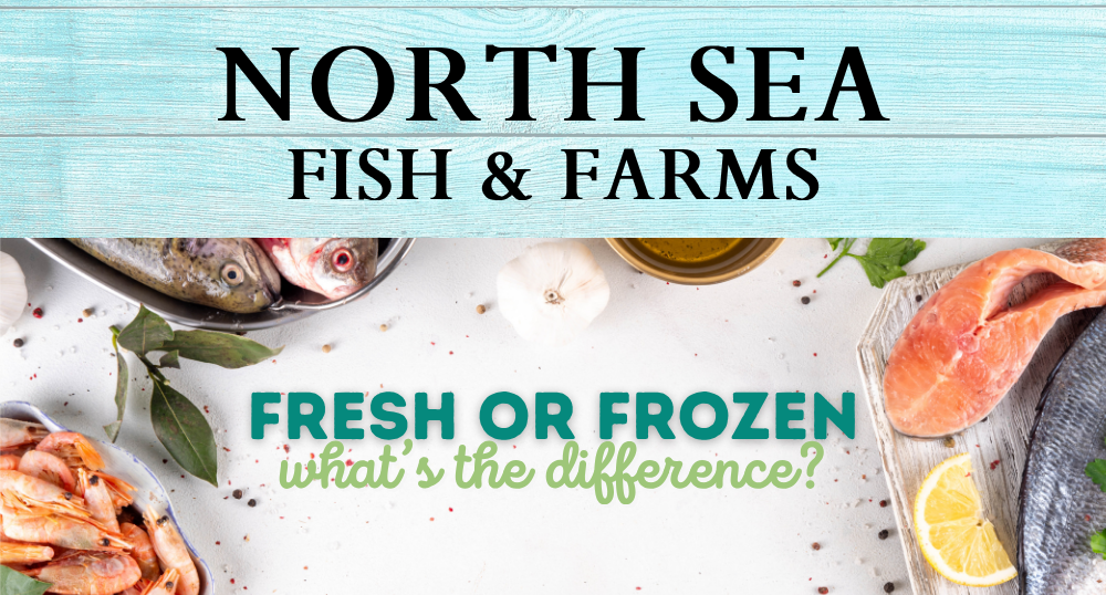 Fresh vs. Frozen Seafood: What You Really Need to Know