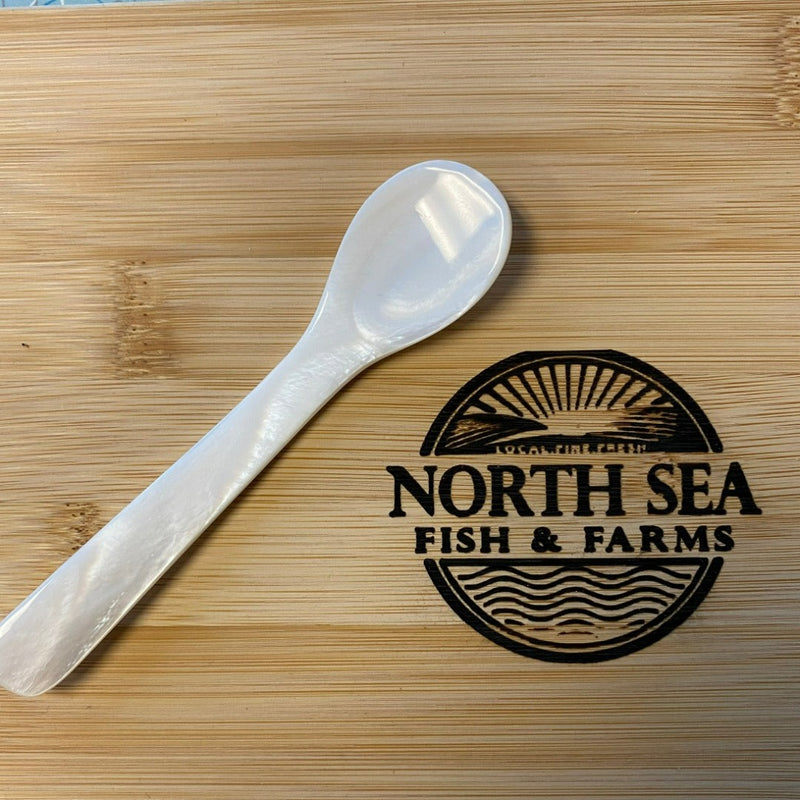 Caviar Spoon  - Mother of Pearl